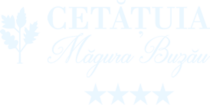 Cetățuia Măgura Buzău
